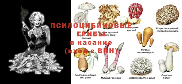 индика Горнозаводск